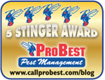 The Five Stinger Award for Excellence in Pest Blogging